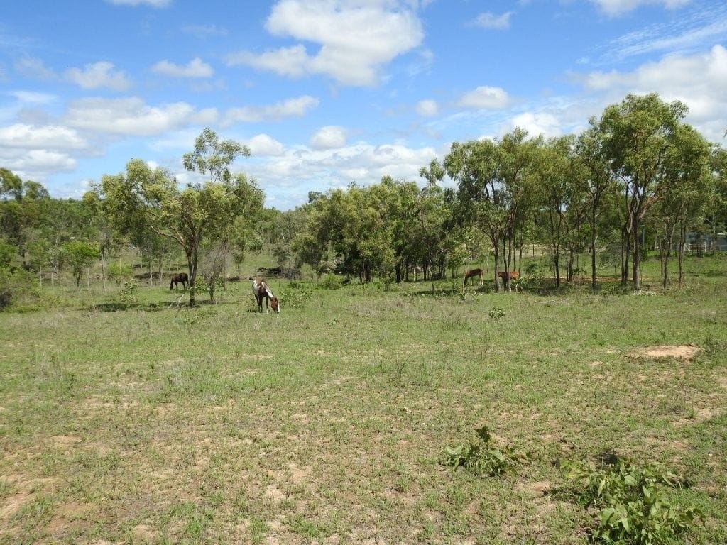 Flinders Highway, Breddan