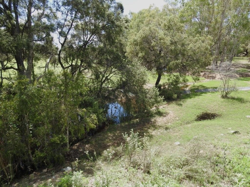 Flinders Highway, Breddan