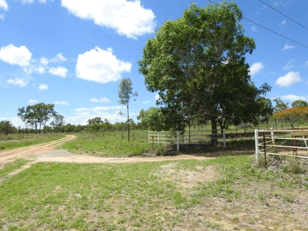 Flinders Highway, Breddan