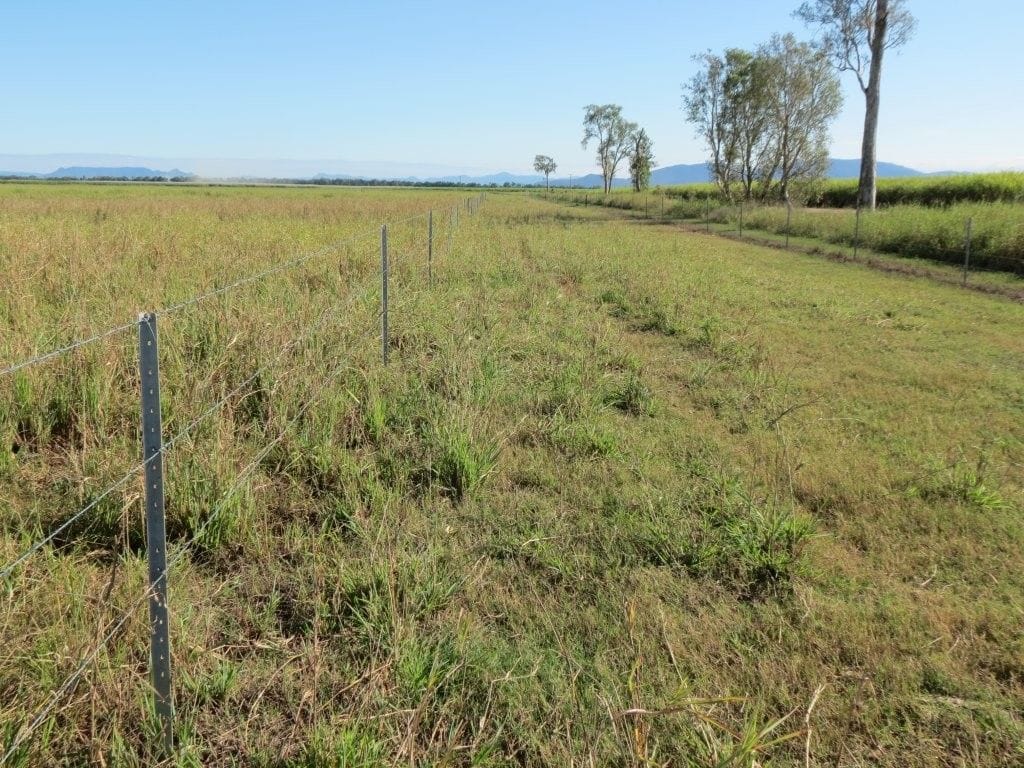 Riverlands Grazing, via Ingham
