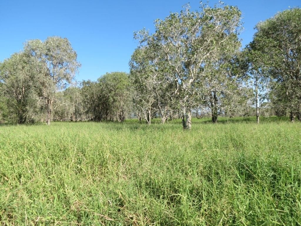 Riverlands Grazing, via Ingham