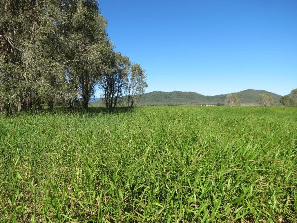 Riverlands Grazing, via Ingham