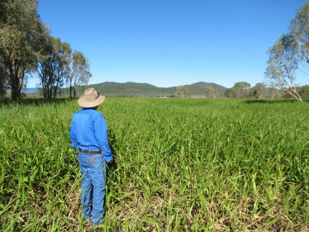 Riverlands Grazing, via Ingham