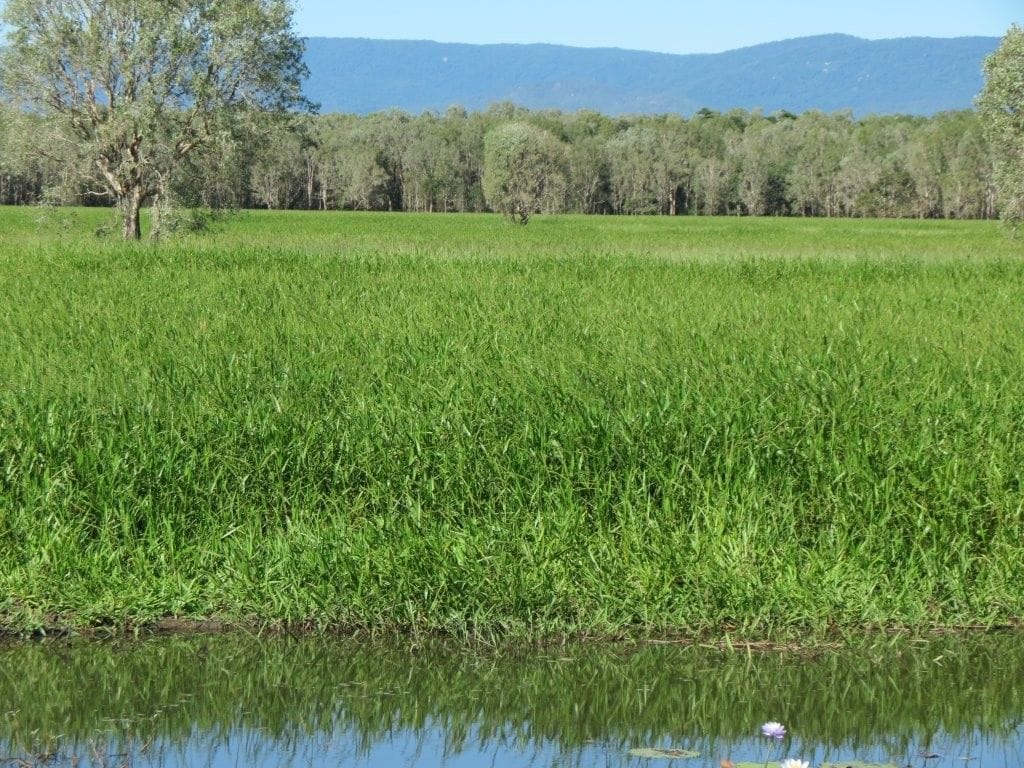 Riverlands Grazing, via Ingham