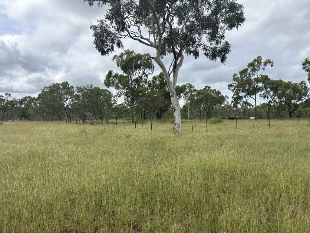 240 Old Dalrymple Road, Breddan