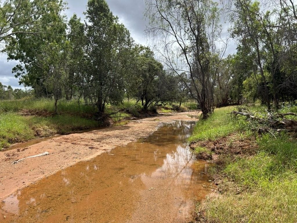 240 Old Dalrymple Road, Breddan