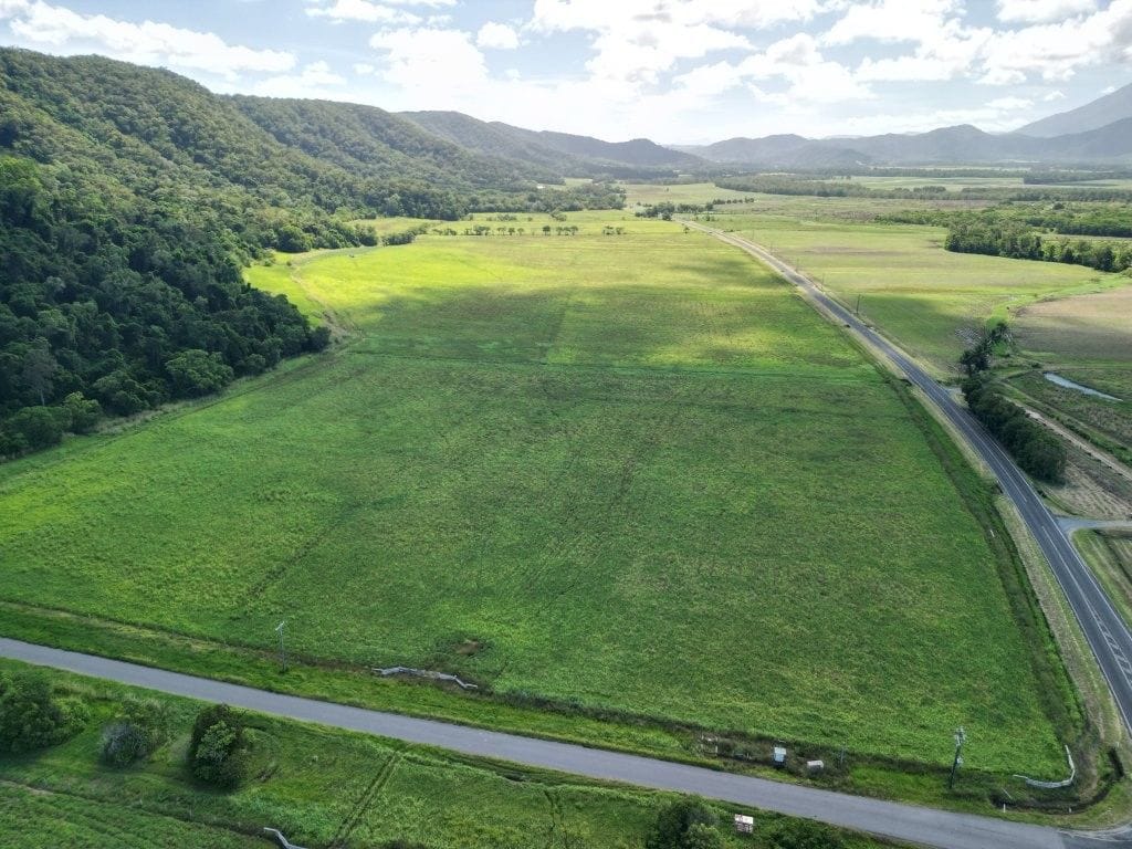 Lower Daintree Aggregation, via Mossman Nth Qld