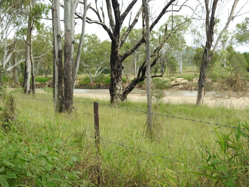 Cape River, Pentland