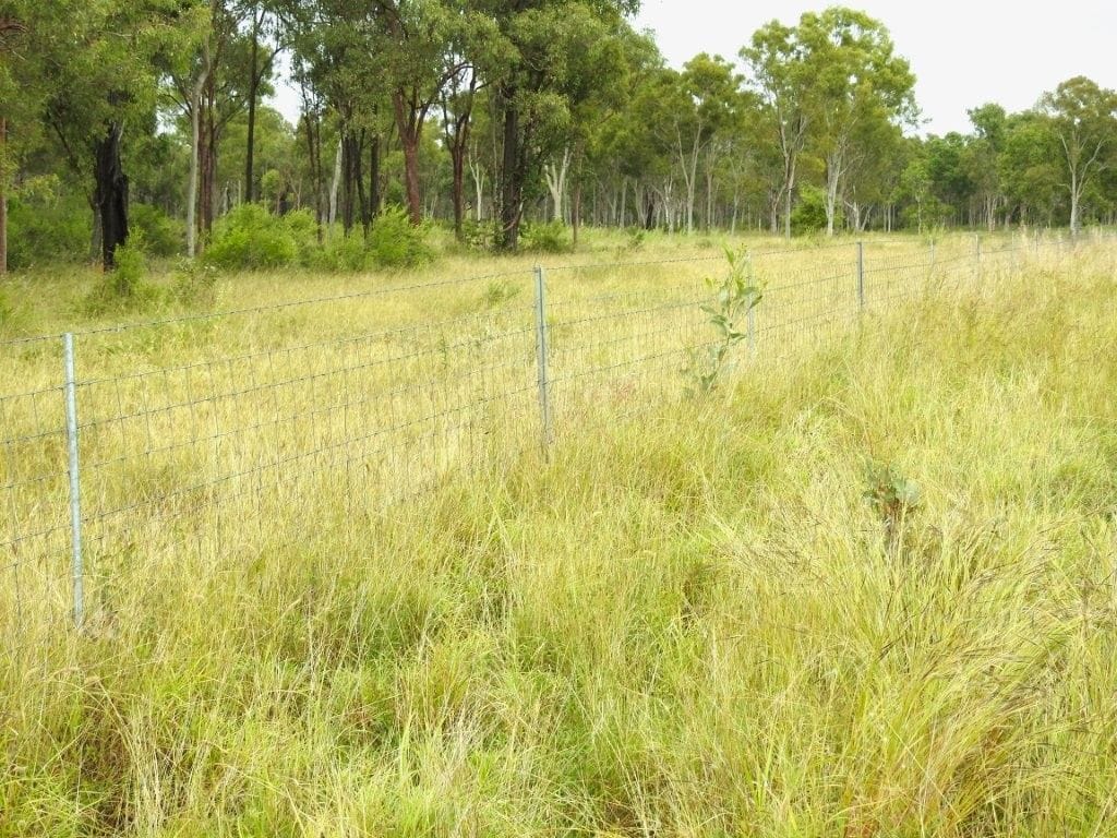 Cape River, Pentland