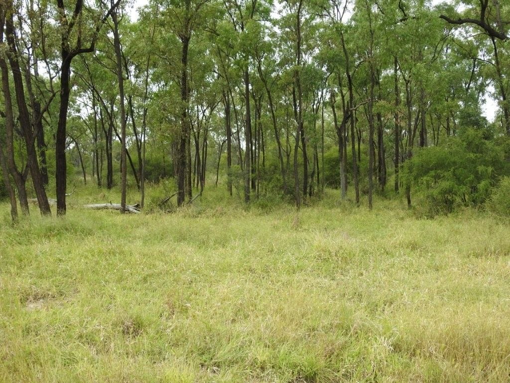 Cape River, Pentland