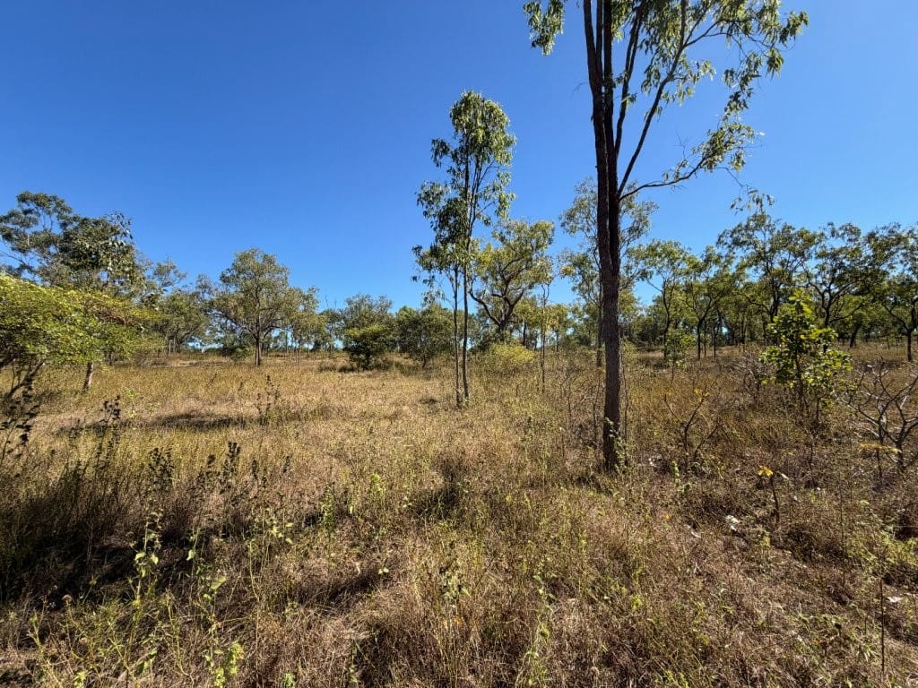 7374 Ayr- Dalbeg Road, Dalbeg