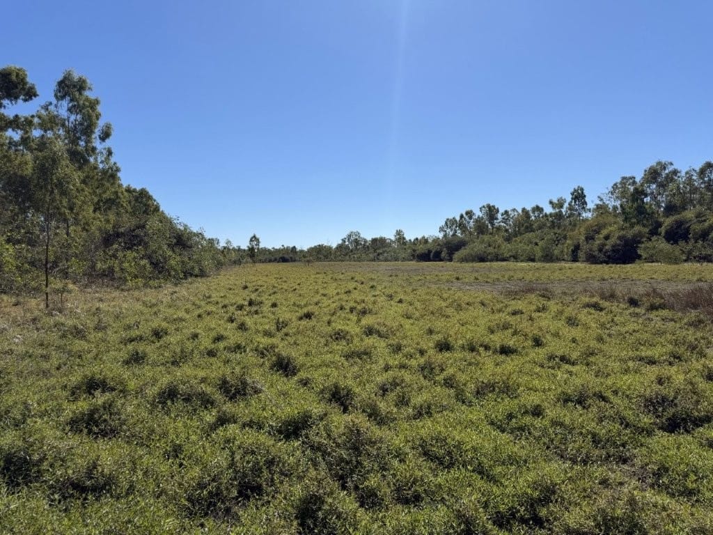 7374 Ayr- Dalbeg Road, Dalbeg