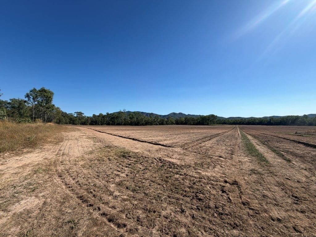 Allendale Road Farm