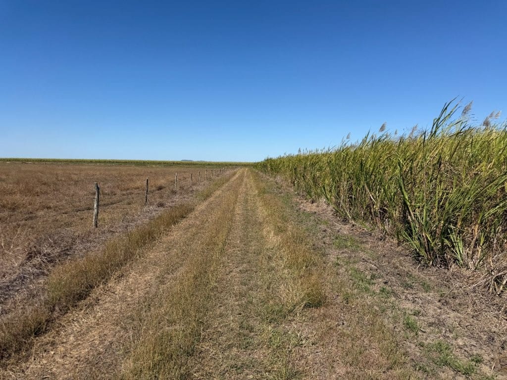 25 Lochinvar Road Farm
