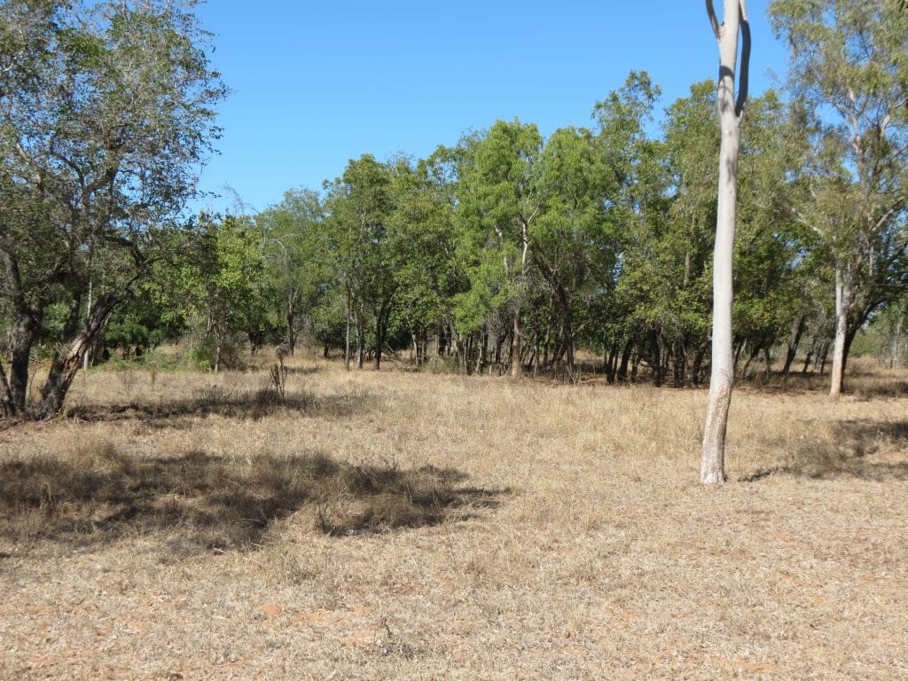 37963 Gregory Development Road, Breddan