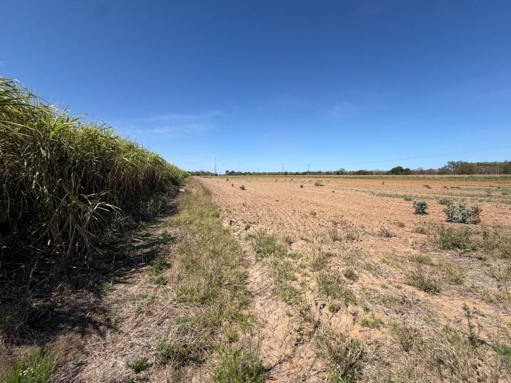 8297 Ayr-Dalbeg Road, Dalbeg