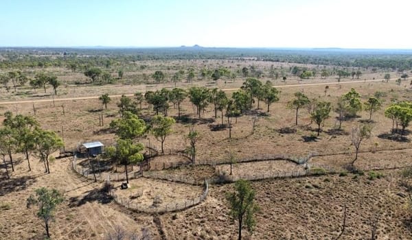 Bumbleginny, Charters Towers