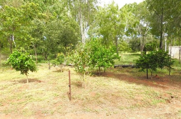 37928 Gregory Development Road, Charters Towers