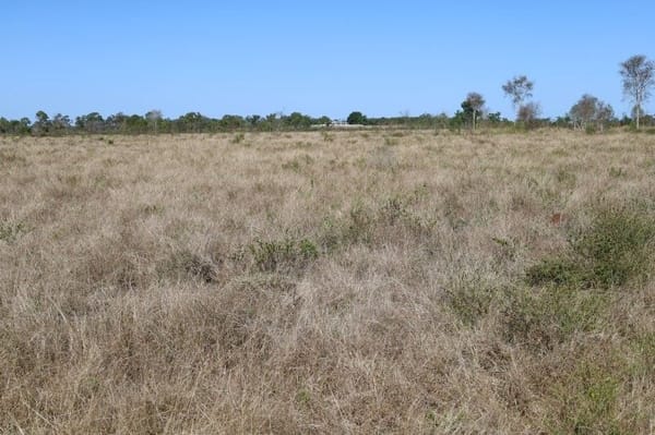 Bumbleginny, Charters Towers
