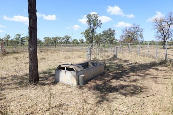 Bumbleginny, Charters Towers