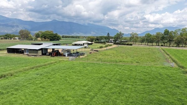 Haughton Hay Farm, Giru
