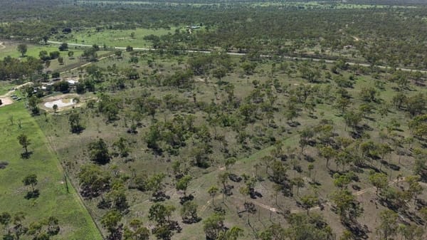 Flinders Highway, Breddan