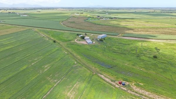 Becker Road Hay & Cattle, 162 Becker Road, Brandon