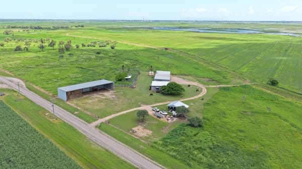 Becker Road Hay & Cattle, 162 Becker Road, Brandon