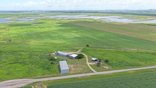 Becker Road Hay & Cattle, 162 Becker Road, Brandon