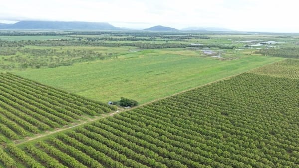 Farming property, Giru