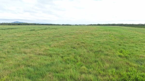 Farming property, Giru