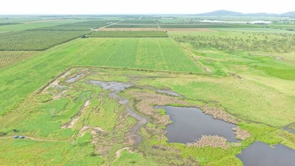 Farming property, Giru
