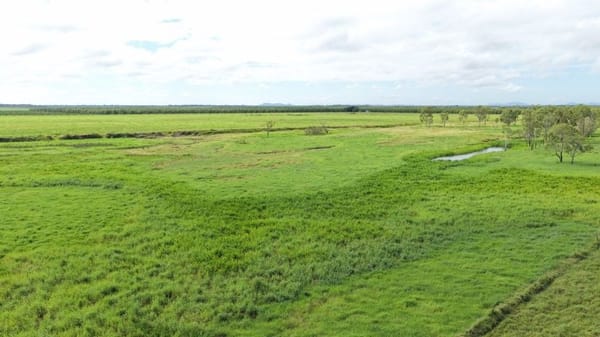 Farming property, Giru