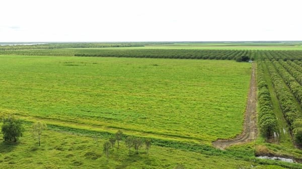 Farming property, Giru