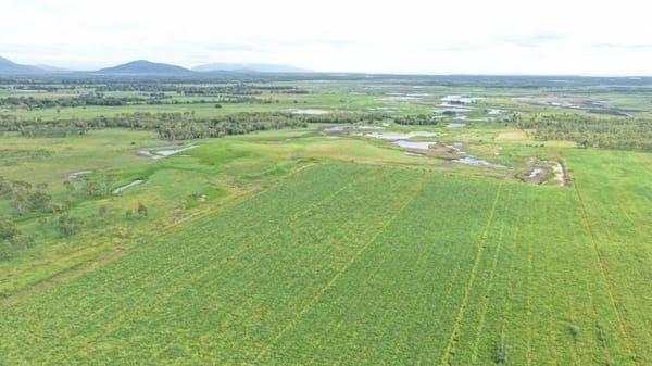 Farming property, Giru