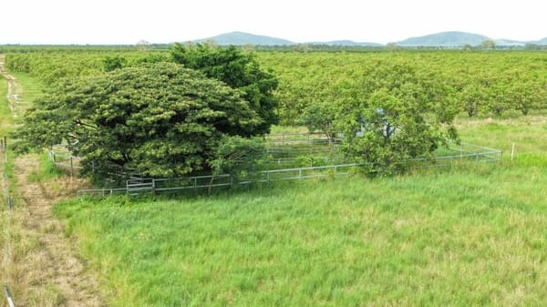Farming property, Giru