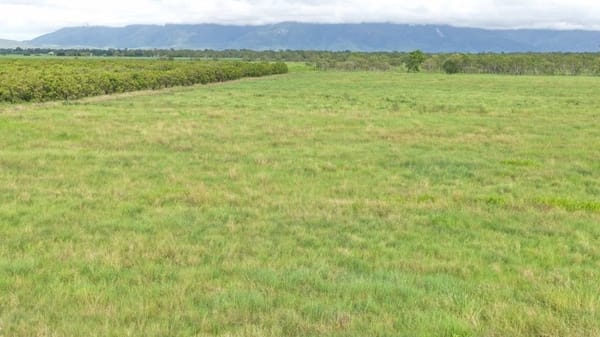 Farming property, Giru