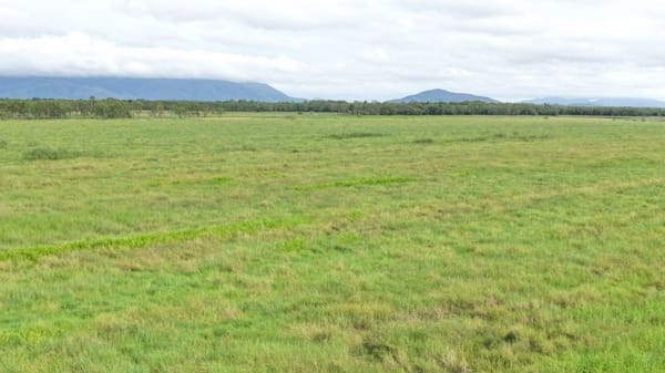 Farming property, Giru