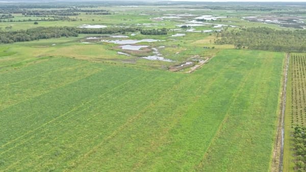 Farming property, Giru