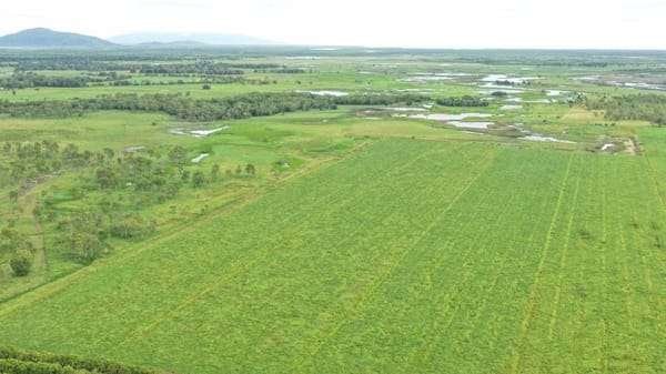 Farming property, Giru