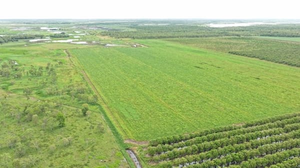 Farming property, Giru
