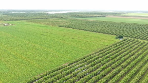 Farming property, Giru