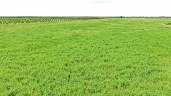 Farming property, Giru
