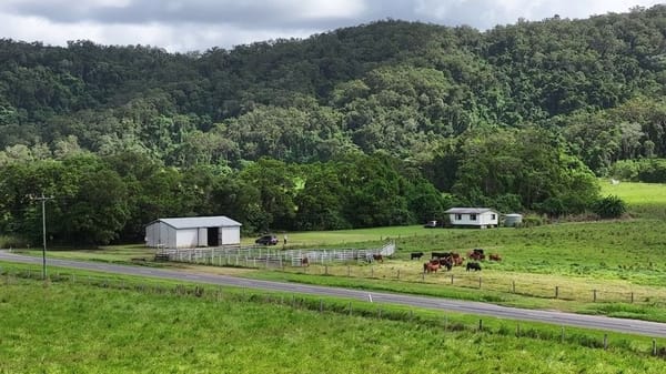 Lower Daintree Aggregation, via Mossman Nth Qld