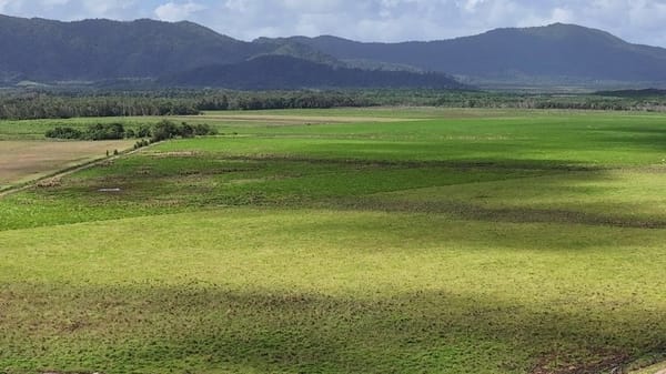 Lower Daintree Aggregation, via Mossman Nth Qld