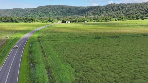Lower Daintree Aggregation, via Mossman Nth Qld