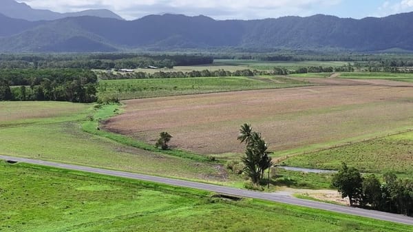 Lower Daintree Aggregation, via Mossman Nth Qld
