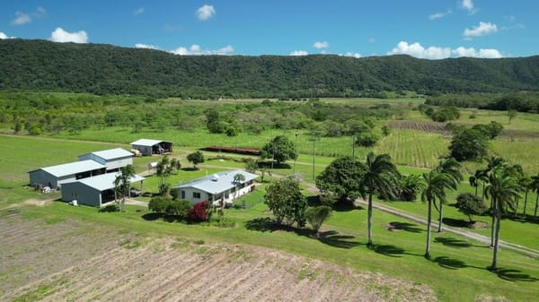 Lower Daintree Aggregation, via Mossman Nth Qld