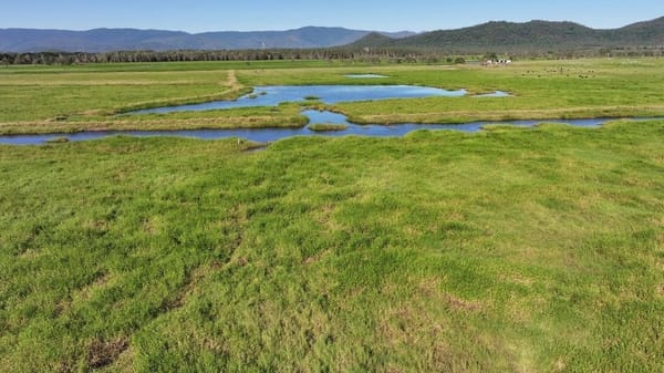 Riverlands Grazing, via Ingham