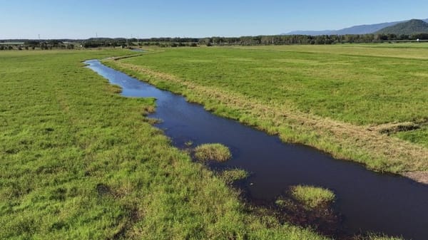 Riverlands Grazing, via Ingham